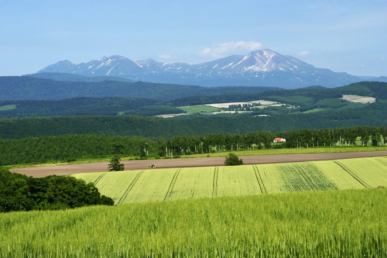 🏞️ 슈지츠 언덕(슈지츠노오카) 이미지 4
